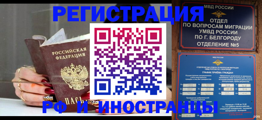 прописка в Чайковском